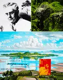 Ian Scott, Kelliher’s Island (Puketutu)
