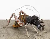 Jeffrey Thomson, Weta, mixed media