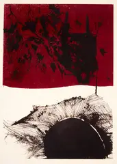 Kate Coolihan, Eclipse Variations, aquatint, 2/15