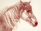 A. Speijer, Untitled – Portrait of a Horse, ink on canvas