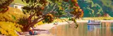 Simon Williams, Relaxing under Pohutukawa, oil on canvas