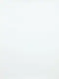 Dane Mitchell, Conceal/Reveal, silkscreen print, 38/50, Artspace
