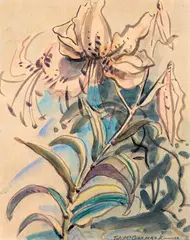 T. A. McCormack, Lily, watercolour