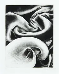 Vivian Ward, Untitled, mezzotint, A/P