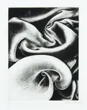 Vivian Ward, Untitled, mezzotint, A/P