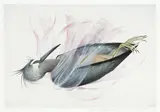 Paul Martinson, Float, sleep and dream, watercolour, gouache and acrylic on paper