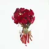 Andrew Barber, Untitled