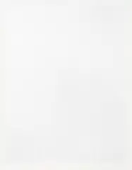 Dane Mitchell, Conceal/Reveal, silkscreen print, 38/50, Artspace turns 21