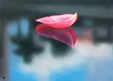Ken Beatson, Untitled (Petal Study), oil on canvas