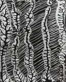 Plant Study by Theodorus Johannes Schoon, vintage gelatin silver print, sold Nov 2017