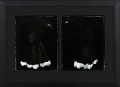 Huia Lovers by Fiona Pardington, silver bromide hand-prints, diptych, sold Nov 2017