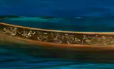 John Walsh, Maori