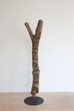 A Nineteenth century Lobi ladder, Burkina Faso region, Africa., carved wooden log