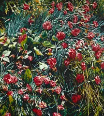 Karl Maughan, Untitled, oil on Belgian linen