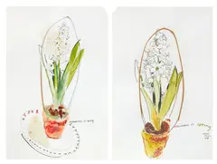 Joanna Paul, Imminence of Spring, watercolour, pastel, graphite and collage on paper, diptych