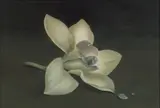 Heather Straka, Flower