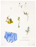 Joanna Paul, Hortus Conclusus