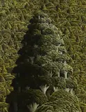Mark Wooller, Kauri Mountain Peak
