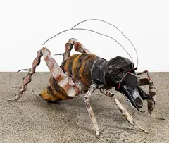 Weta by Jeffrey Thomson, mixed media, offered Jun 2017