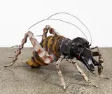 Jeffrey Thomson, Weta, mixed media