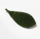 Warwick Freeman, Leaf Brooch, pounamu, sterling silver (1990s)