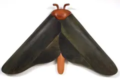 Warren Viscoe, Ghost Moth, Aotearoa, N.Z, carved and painted wood