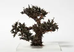 Matsu Modoki by Ryuzo Nishida, acrylic paint, plastic models and Perspex, sold Jun 2017
