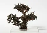 Ryuzo Nishida, Matsu Modoki, acrylic paint, plastic models and Perspex