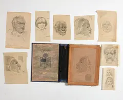 Nineteen studies, predominantly of Moko Mokai