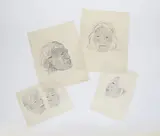 Theodorus Johannes Schoon, Nine detailed pencil studies of Moko Mokai, graphite on paper