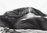 Don Binney, Untitled