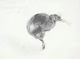 Raymond Ching, Brown Kiwi