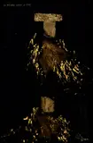 Le Negro Sobre Lo Oro (The black over the gold) by Ralph Hotere, lacquer and gold leaf on glass, sold Jun 2017