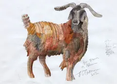 Jeffrey Thomson, Nanny, ink and watercolour on paper