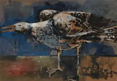 Keith Patterson, Untitled - Gull, watercolour and gouache on paper