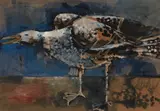 Keith Patterson, Untitled - Gull, watercolour and gouache on paper