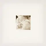 John Ward Knox, Life, Still, Hold, oil on calico