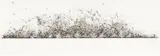 Murray Green, Last Glance No. 5, residue resulting from the combustion of FFg black powder on Fabriano cotton rag paper