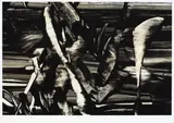 Judy Millar, Untitled, digital pigment print, edition of 60