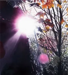 Through the Trees by Trenton Garratt, oil on linen, sold Apr 2017