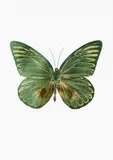 The Souls by Damien Hirst, three colour foil block print on 300GSM Arches paper, 8/15, sold Apr 2017