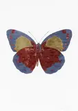 The Souls by Damien Hirst, three colour foil block print on 300GSM Arches paper, 8/15, sold Apr 2017