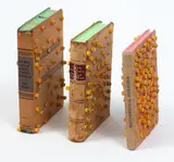 Paul Cullen, Models, Methods and Assumptions, lead pencils, acrylic, resin and found books, three parts