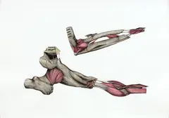 Simon Esling, Manoeuvre, watercolour and acrylic on paper