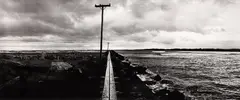Anne Noble, The South Mole, Wanganui River, selenium and gold-toned gelatin silver print