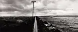 Anne Noble, The South Mole, Wanganui River