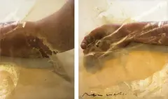 Ben Webb, Study No. 14 (arm), mixed media, diptych