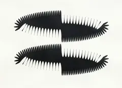 Jane Harris, 14:28, pencil on fabriano paper (2007)