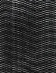 Monique Jansen, Stretch, pencil, tusche, charcoal on canvas