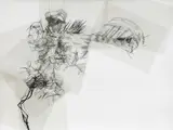 Michael Hawksworth, A Dilated Excuse Cluster, ink drawing on acetate, drawing pins, paper